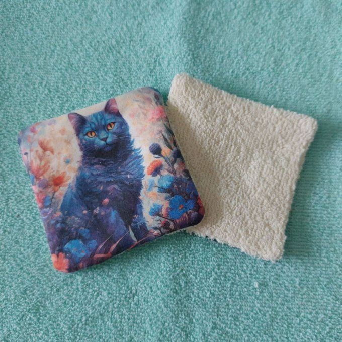Chats multicolores
